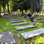 Ilustracja do artykułu 06.06.2020 Sprzątanie Cmentarza Wojskowego (31 of 32).jpg