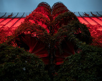 Gmach opery podświetlony na czerwono