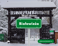 Grafika przedstawiająca znak z napisem Białowieża na tle wejścia do rezerwatu żubrów
