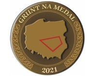 Grafika ukazująca brązowy medal. Wewnątrz koło jest mapa Polski z umieszczonym czworobokiem