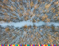 ośnieżona leśna ścieżka, zdjęcie zrobione z góry dronem