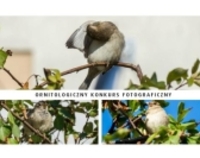 Ornitologiczny Konkurs Fotograficzny