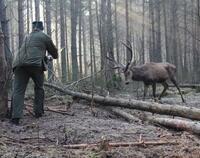 Ilustracja do artykułu ZWYCIĘSKIE ZDJĘCIE Leśniczy uwalnia jelenia fot. Anita Rusiecka.jpg