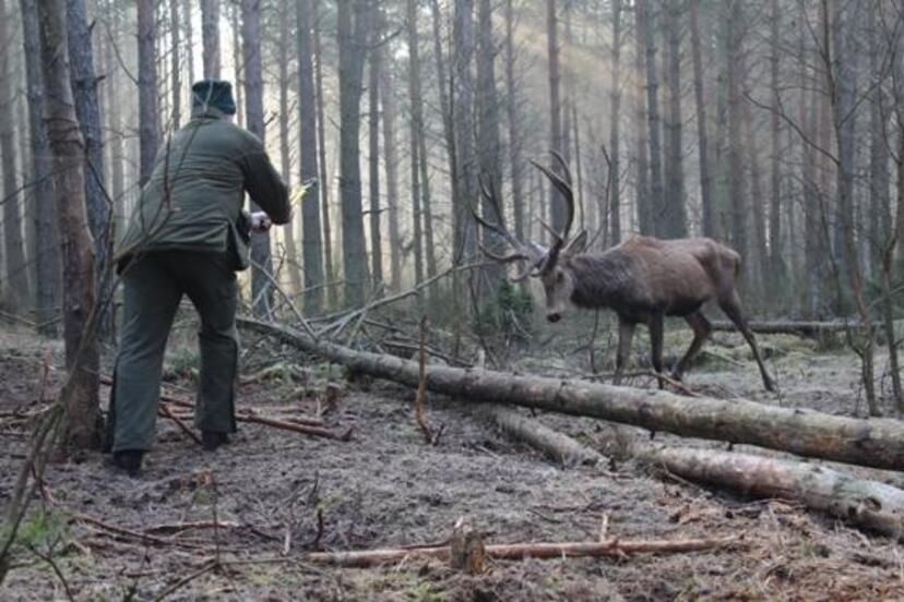 Ilustracja do artykułu ZWYCIĘSKIE ZDJĘCIE Leśniczy uwalnia jelenia fot. Anita Rusiecka.jpg