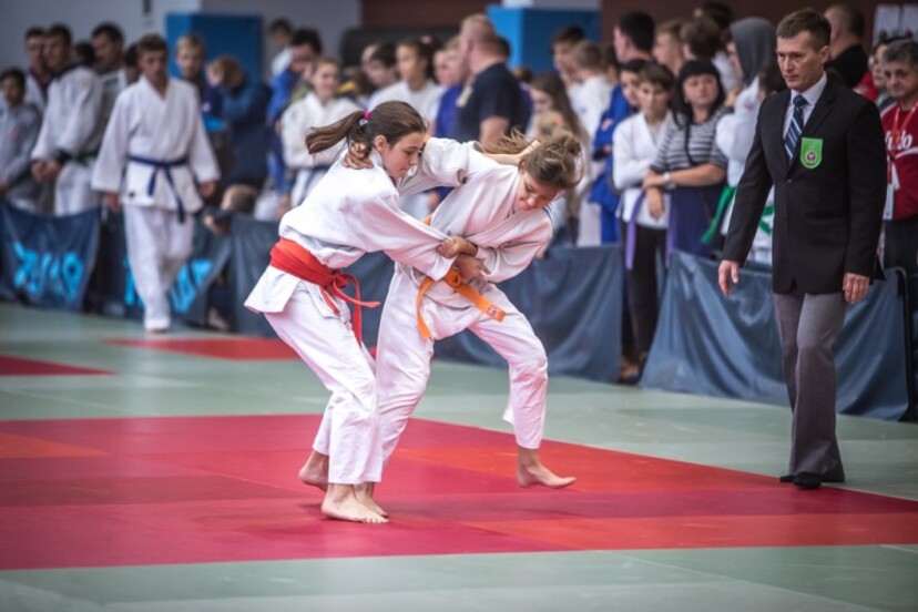 Ilustracja do artykułu judo2015_ARKaminski.jpg
