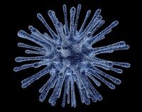 Ilustracja do artykułu virus-infected-cells-213708_960_720.jpg