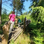 Grupa osób pokonuje drewnianą kładkę w lesie