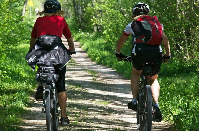 Dwoje rowerzystów jedzie leśną ścieżką.