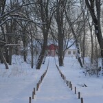 Ścieżka między drzewami na końcu której znajduje się budynek. Zdjęcie zrobione zimową porą.