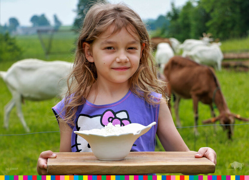 Dziewczynka trzymająca miskę z twarożkiem. W tle kozy.