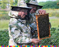 Dwóch mężczyzn w stroju pszczelarza. Jeden z nich trzyma w dłoniach plaster miodu z pszczołami