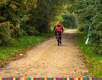 Piaskowa droga wiodąca przez las. Jedzie po niej rowerzysta.