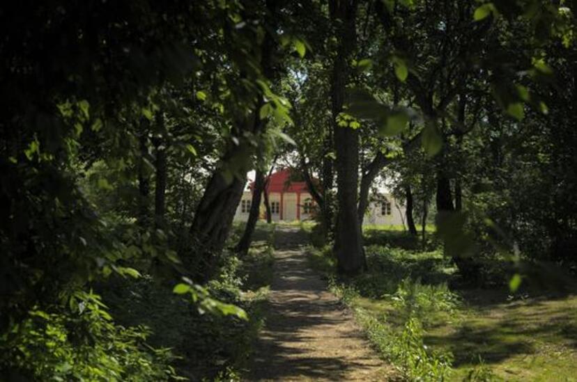 Dwór w Krasnogrudzie latem- ścieżka, wzdłuż drzewa, w oddali wejście do dworu Miłosza