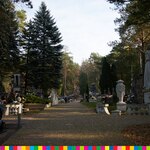 Cmentarz w Wasilkowie. Po prawej stronie figura anioła.