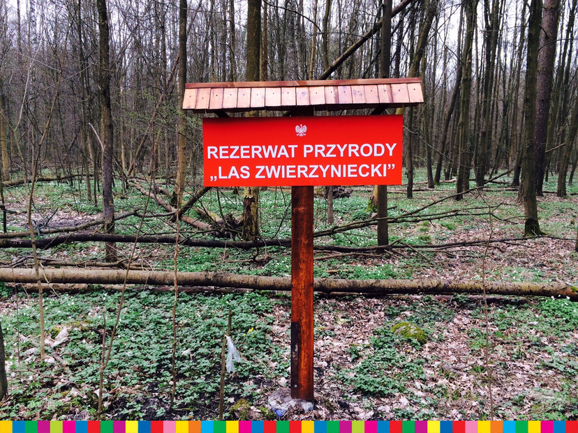 Stojąca w lesie tablica o treści "Rezerwat Przyrody Las Zwierzyniecki"