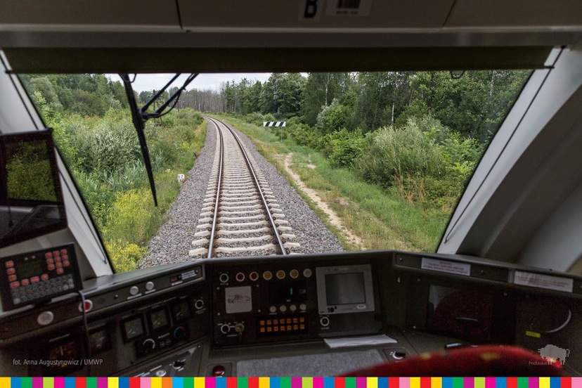 Widoczny pulpit we wnętrzu pociągu. Przez szybę widoczne tory kolejowe oraz las