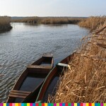 Rzeka Narew płynie wśród trzcin. Na rzecze dwie łódki.
