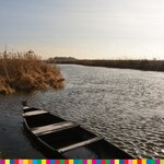 Rzeka Narew płynie wśród trzcin. Na rzece jedna łódka.