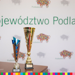 Dwa puchary stoją na stole na tle białej ścianki z kolorowymi żubrami i napisem Województwo Podlaskie