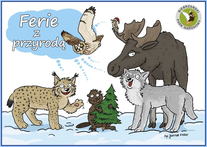 Plakat promujący Ferie z przyrodą z grafikami zwierząt.