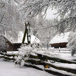 Zabudowania wiejskie, drzewa i płot pokryte śniegiem.