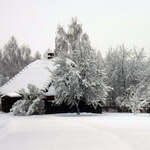 Zabudowania wiejskie, drzewa i pola pokryte śniegiem.