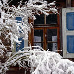 Fragment chaty wiejskiej z oknem i krzewy pokryte śniegiem.