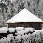 Zabudowania wiejskie, drzewa, ule i płot pokryte śniegiem.