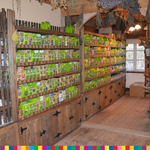 W pomieszczeniu ze ścianami obitymi drewnem na półkach stoją kolorowe pudelka z ziołami.