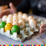 Jajka wraz z trzema pisankami ułożone w pudełku 