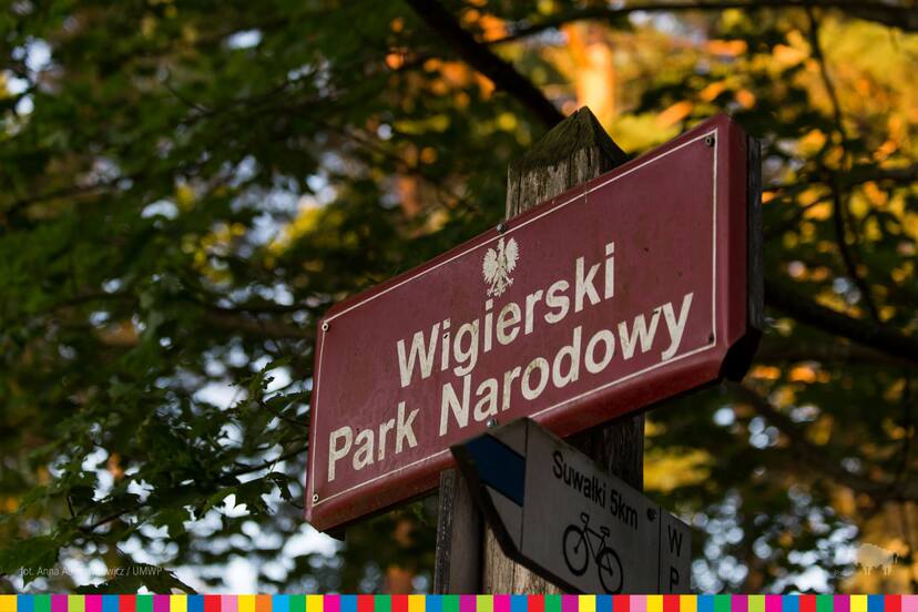Tablica z napisem Wigierski Park Narodowy wśród drzew.