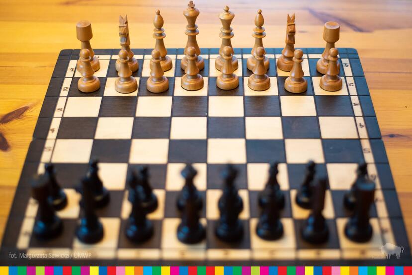 Drewniane figury ustawione w dwóch rzędach na szachownicy.