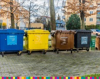 Kubły do segregacji śmieci: niebieski, żółty, brązowy i czarny ustawione w rzędzie.