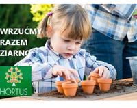 Dziecko sadzi rośliny.