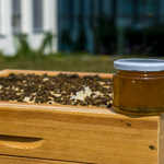 miód w słoiczku stojący na ramce na której siedzą pszczoły