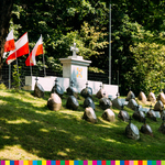 Groby oraz biało-czerwone flagi znajdujące się na leśnym wzgórzu