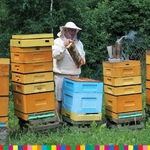 Ilustracja do artykułu pasieka wiktor - pszczelarz z ramka w dłoni przy ulu 1.jpg