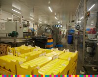 Kartony z serami w fabryce