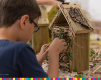Dziecko buduje domek dla pszczół