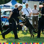 Policjanci  z wyszkolonym psem policyjnym pokazują ludziom ćwiczenia